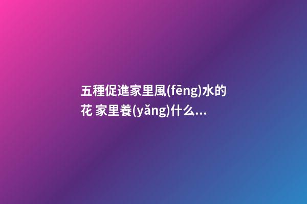 五種促進家里風(fēng)水的花 家里養(yǎng)什么花風(fēng)水好